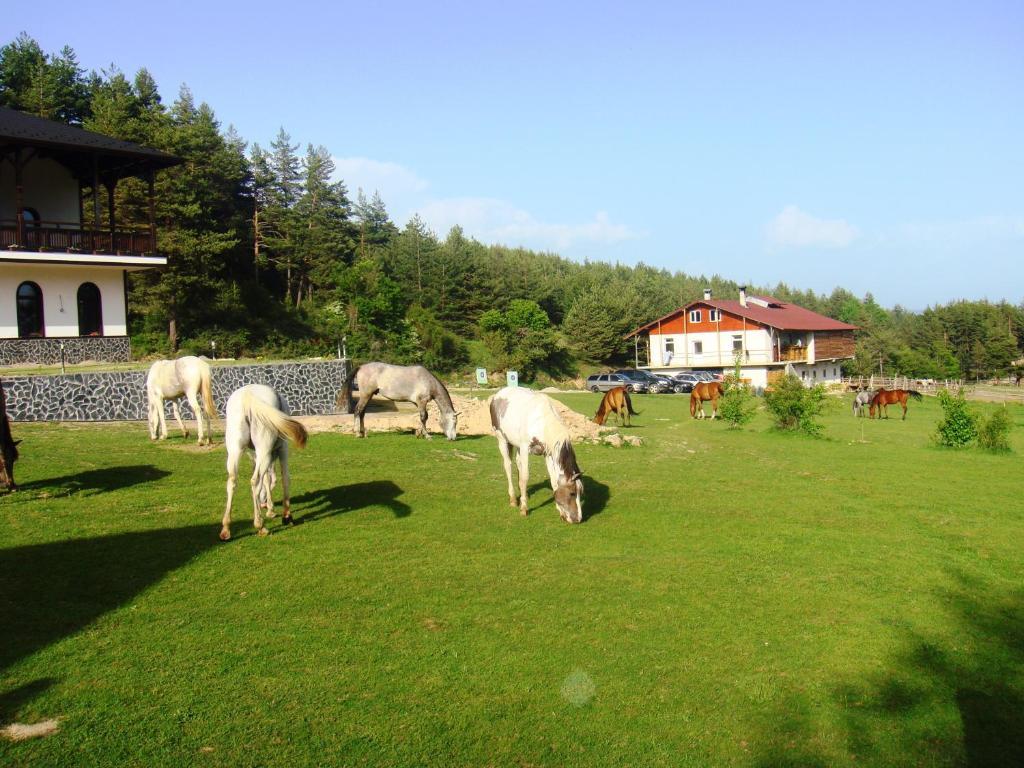 Rusaliite Adventure House Bachevo  Exterior foto
