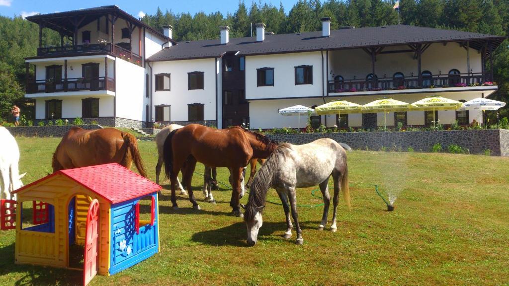 Rusaliite Adventure House Bachevo  Exterior foto