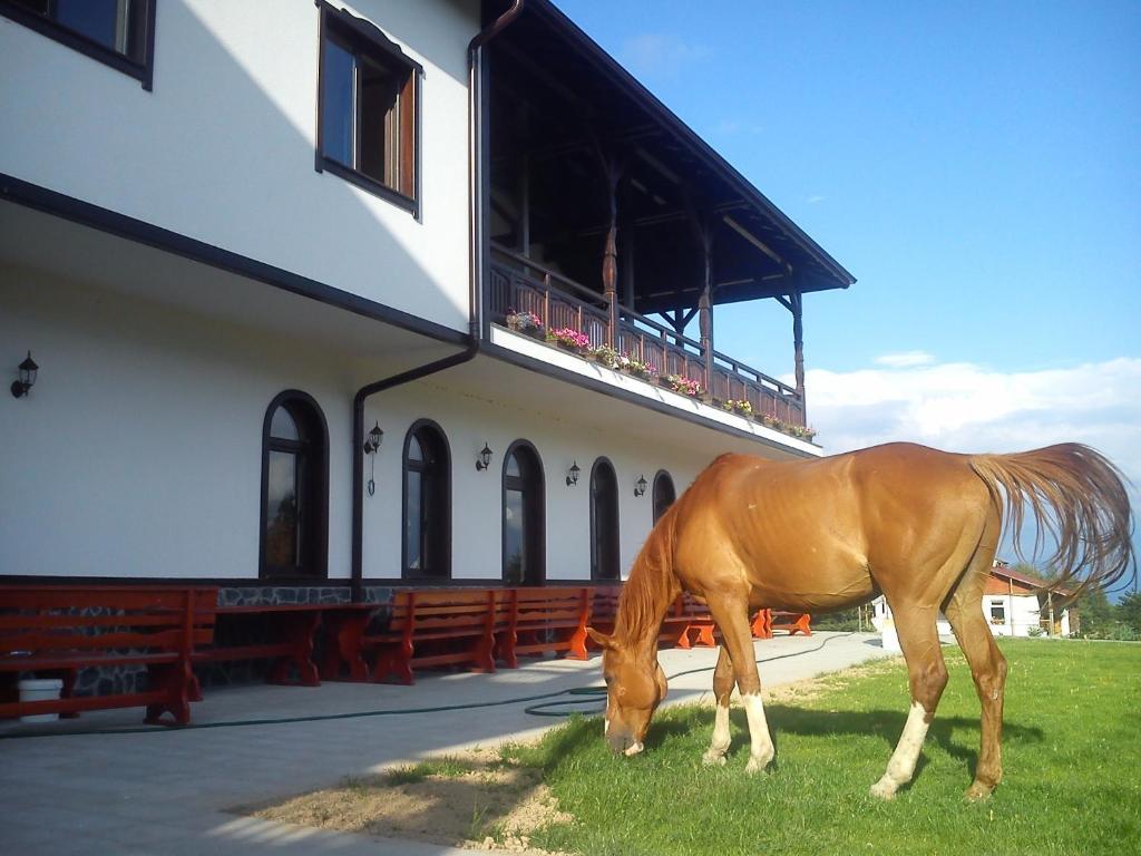 Rusaliite Adventure House Bachevo  Exterior foto
